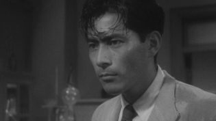 野良犬 photo