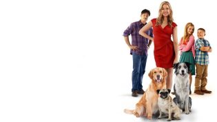 Junkyard Dogs photo