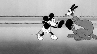 Mickey's Kangaroo photo