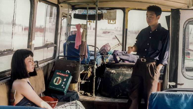 风流一代 photo