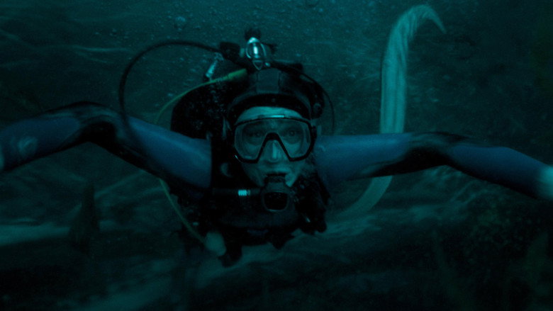 Whalefall photo