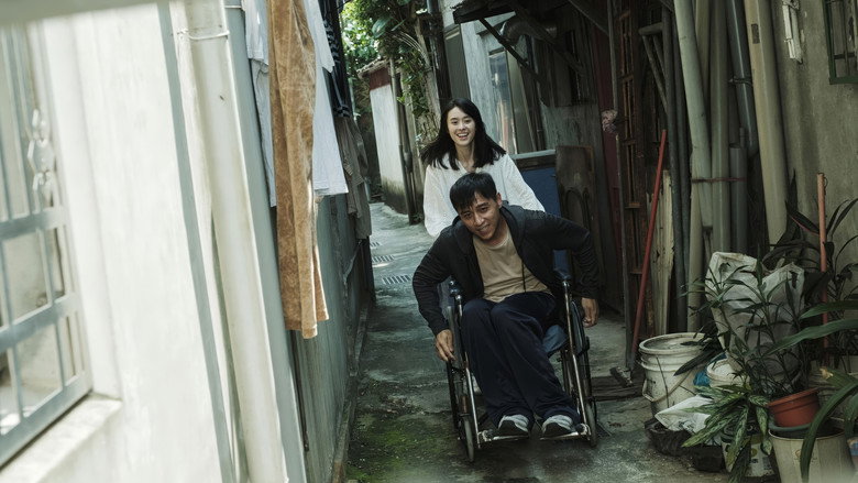 亲爱的杀手 photo