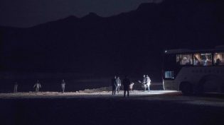 大象席地而坐 photo