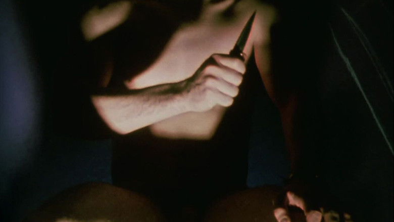 Invocation of My Demon Brother photo