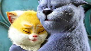 猫与桃花源 photo