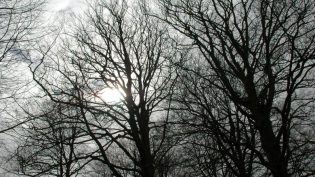 Tales from the Darkside photo