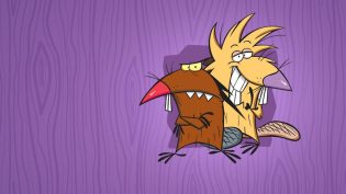 The Angry Beavers photo