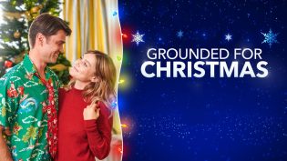 Grounded for Christmas photo