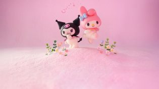 美乐蒂&酷洛米 photo