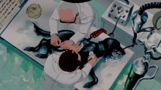 疫病犬 photo