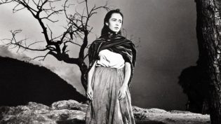马卡里奥 photo
