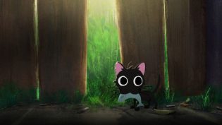 小野猫与斗牛犬 photo