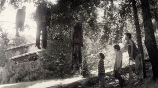 病菌侵蚀 photo