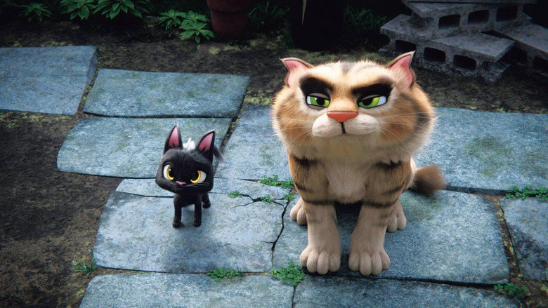 黑猫鲁道夫 photo