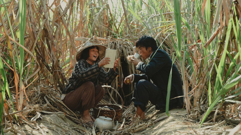 大濛 photo