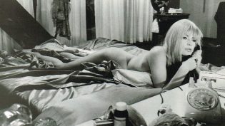 桃色响尾蛇 photo