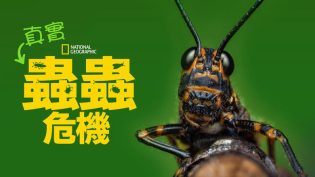 虫虫历险记 photo
