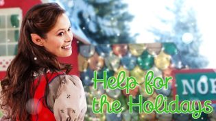 Help for the Holidays photo