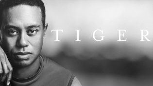 Tiger photo