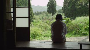 小森林：冬春篇 photo