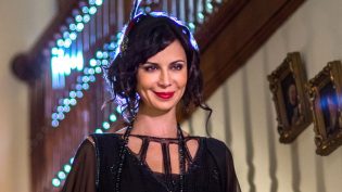 The Good Witch's Destiny photo