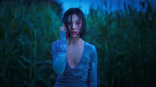 无声蛙鸣 photo