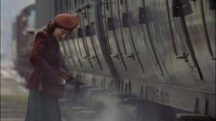 乱世有情天 photo
