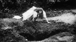 Alice in Wonderland photo