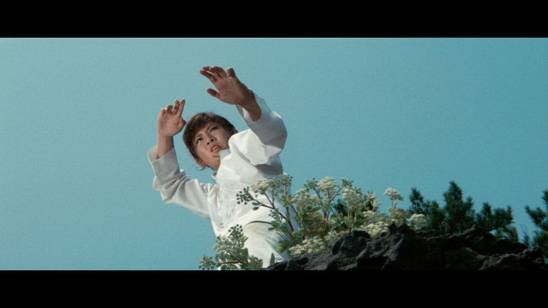 女必杀拳 photo