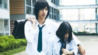 热情花招 photo