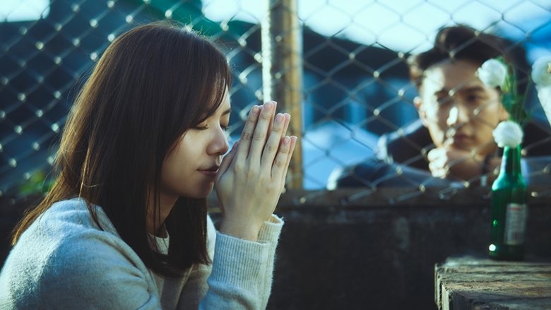 月老 photo