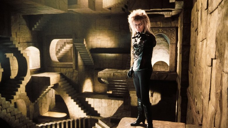 魔幻迷宫 photo