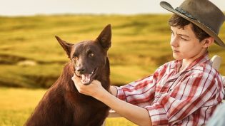 红犬历险记2：蓝犬 photo
