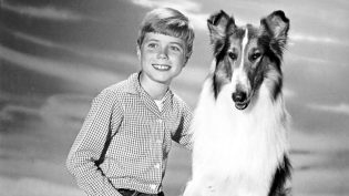Lassie photo