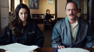 暴风雪中的白鸟 photo