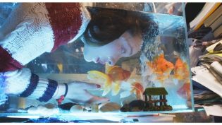 三夫 photo