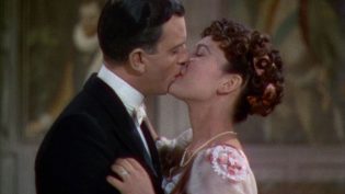 四片羽毛 photo
