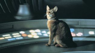 鬼马太空猫 photo