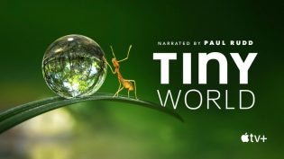 Tiny World photo