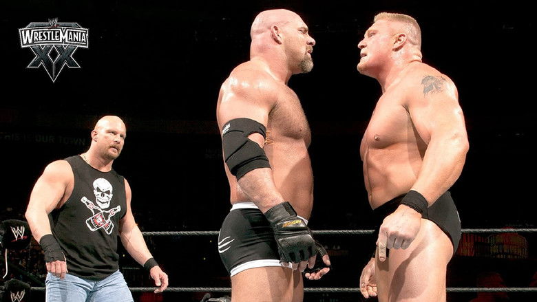 WWE 摔角狂热 20 photo