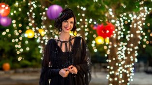 The Good Witch's Destiny photo
