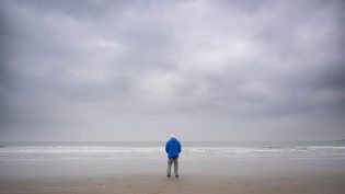 大卫·爱登堡：海洋 photo