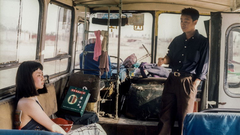 风流一代 photo