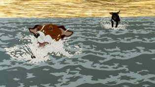疫病犬 photo