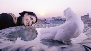 我的德里情人 photo