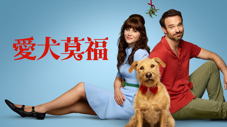 爱犬莫福 photo
