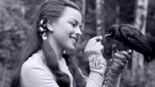 The Story of Robin Hood and His Merrie Men photo