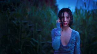 无声蛙鸣 photo