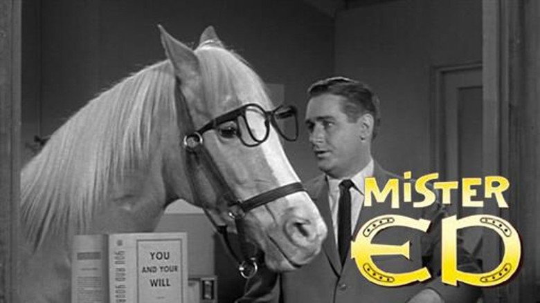 Mister Ed photo