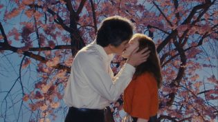 日本的西多妮 photo